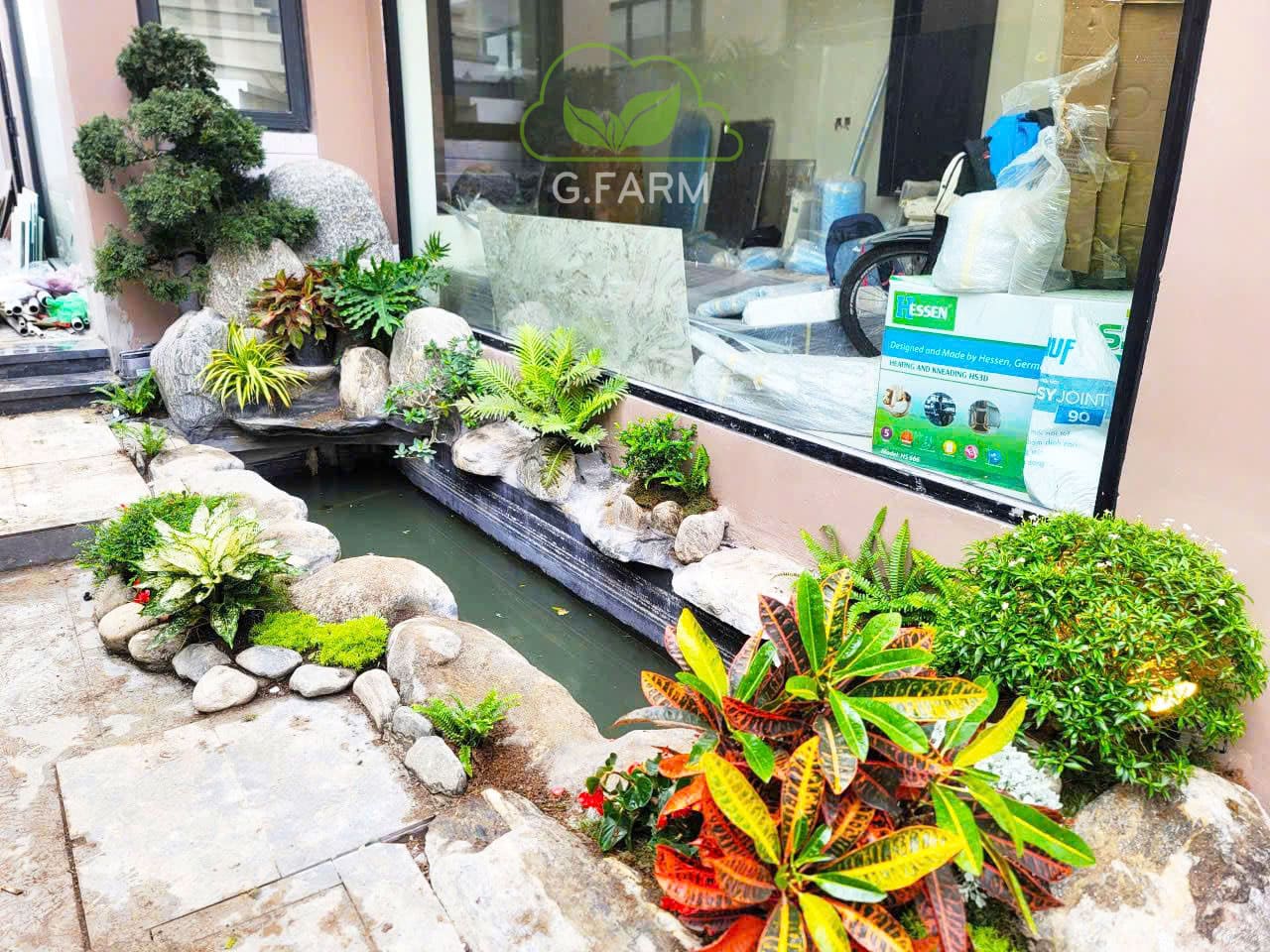 Vườn tiểu cảnh đẹp anh Tuân Ocean Park 3